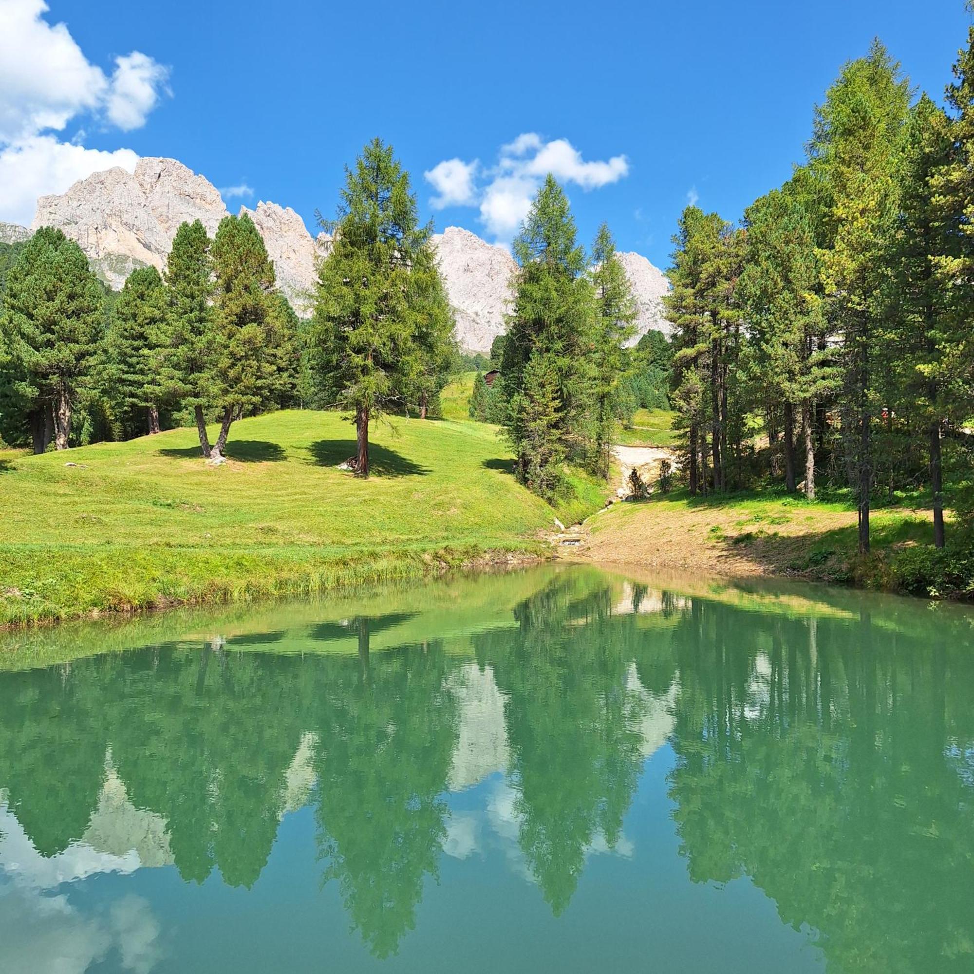 Apartment Romana Selva di Val Gardena Extérieur photo
